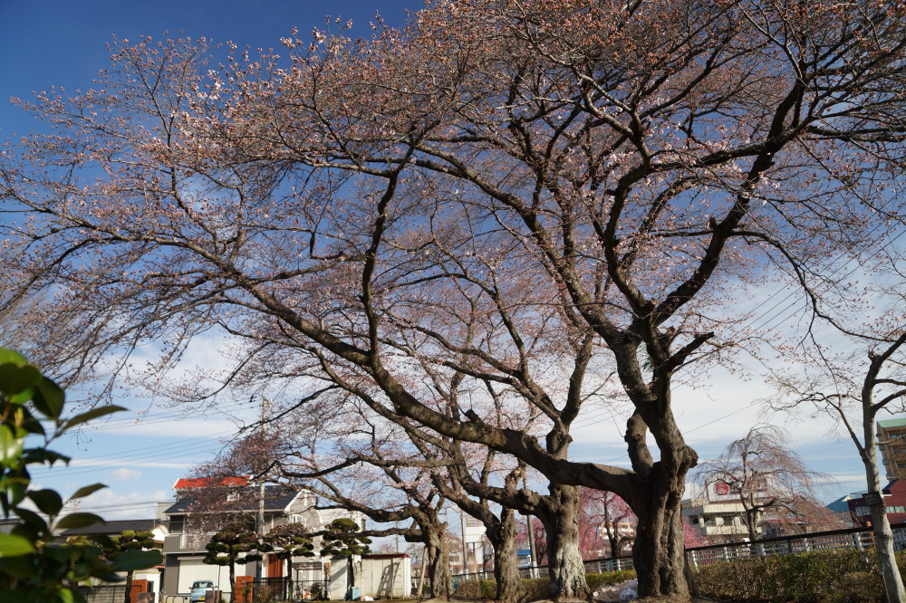 2022年3月28日(月)