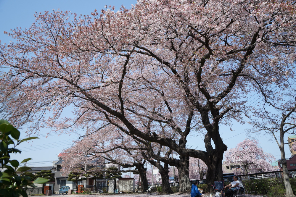 2022年4月10日(日)