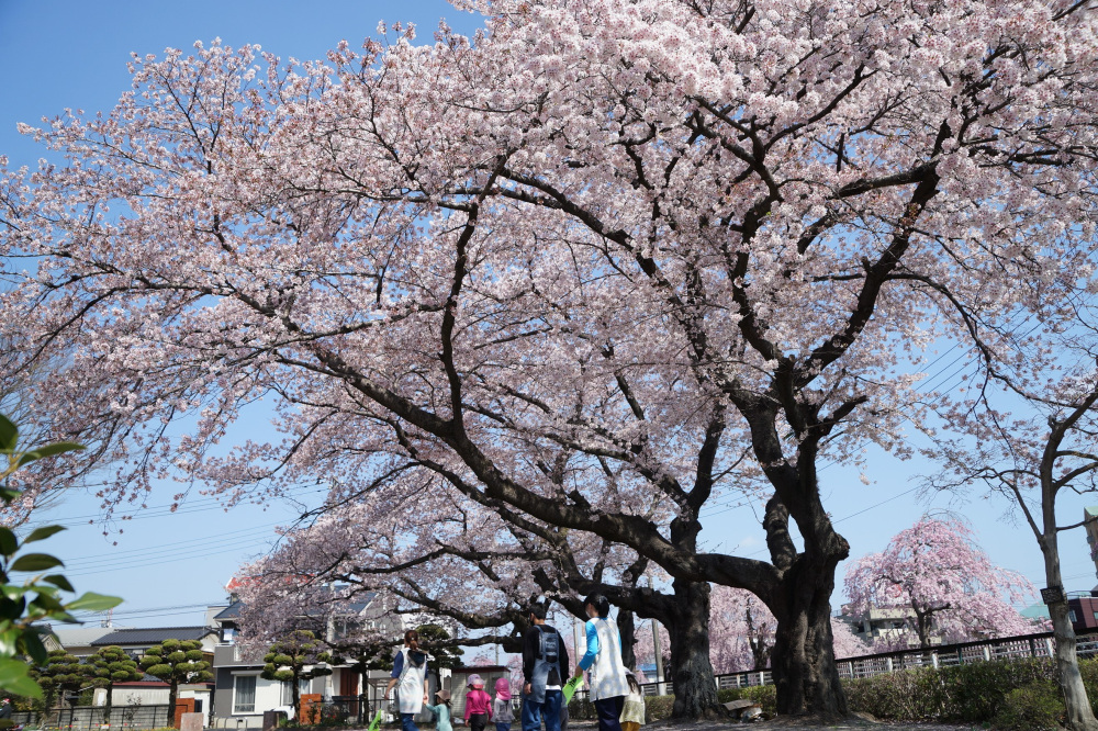 2022年4月9日(土)