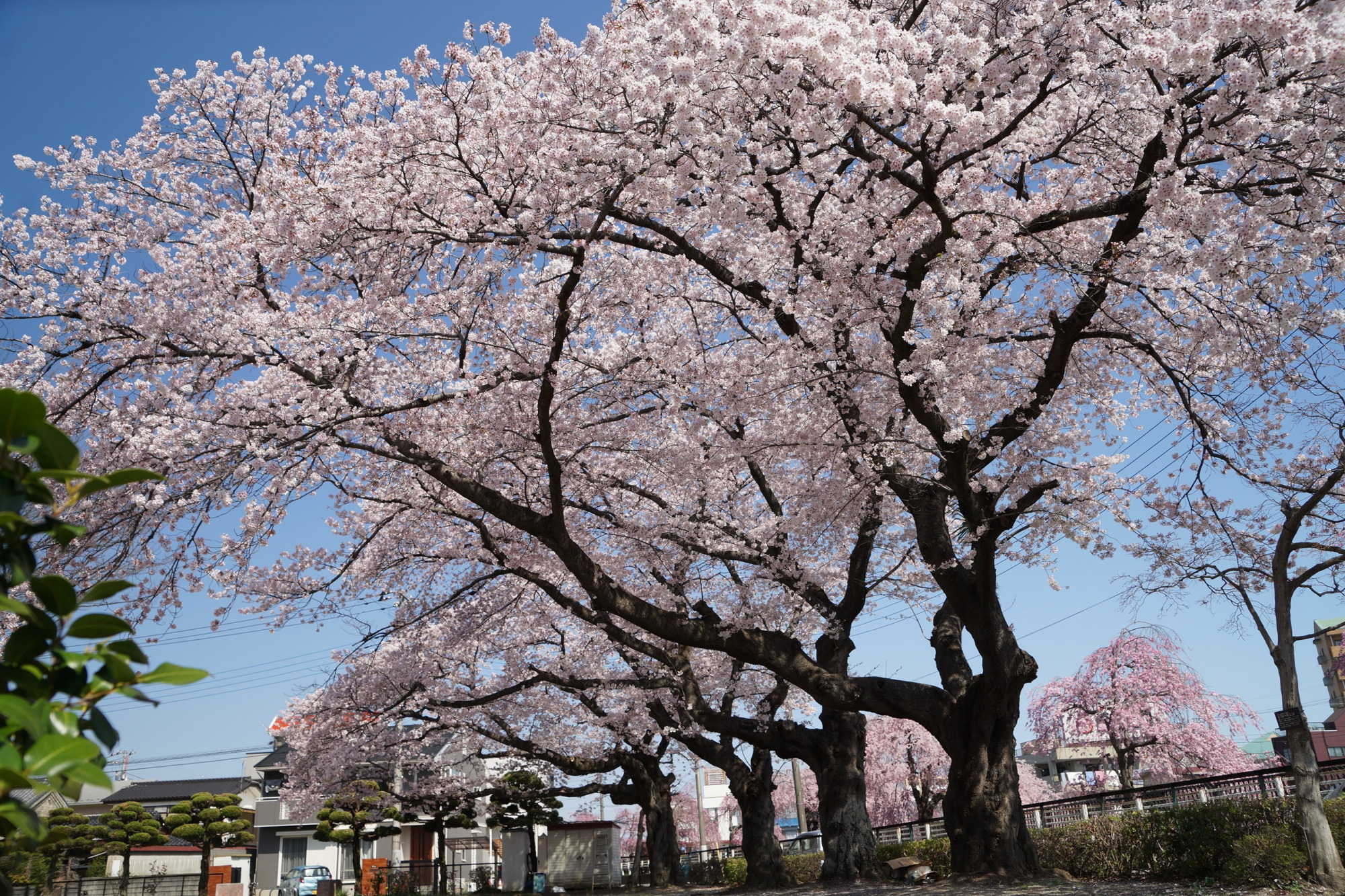 2022年4月8日（金）