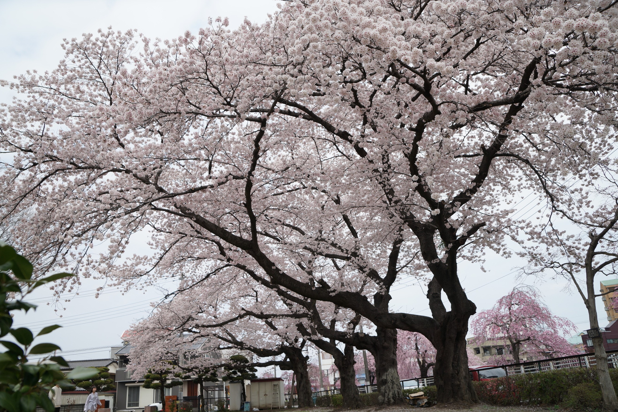 2022年4月7日（木）