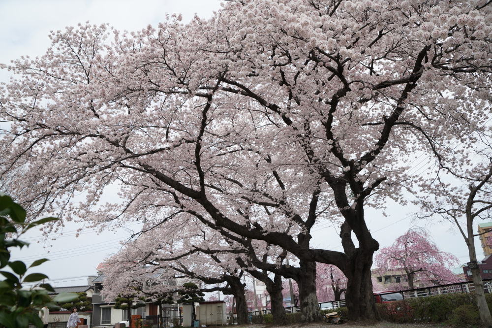 2022年4月7日(木)