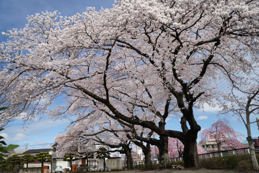 2022年4月5日(火)