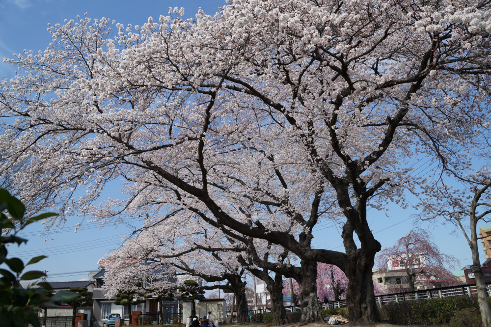 2022年4月2日(土)