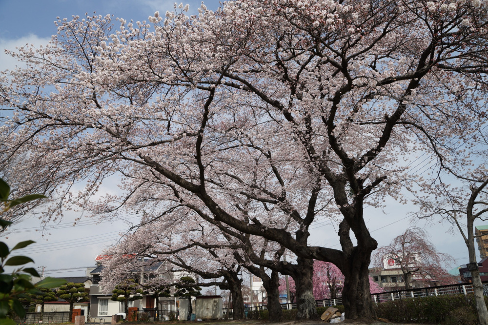 2022年3月31日(木)