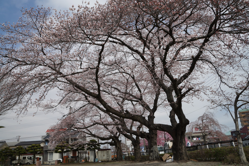 2022年3月30日(水)