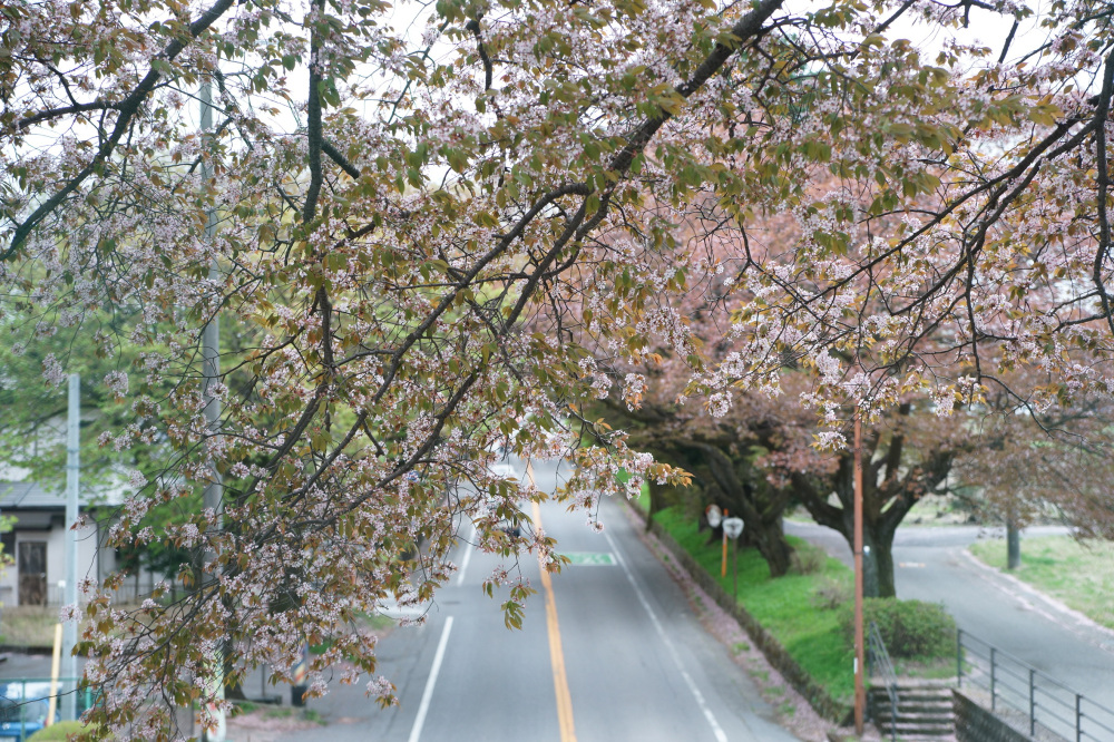 2022年4月14日(木)