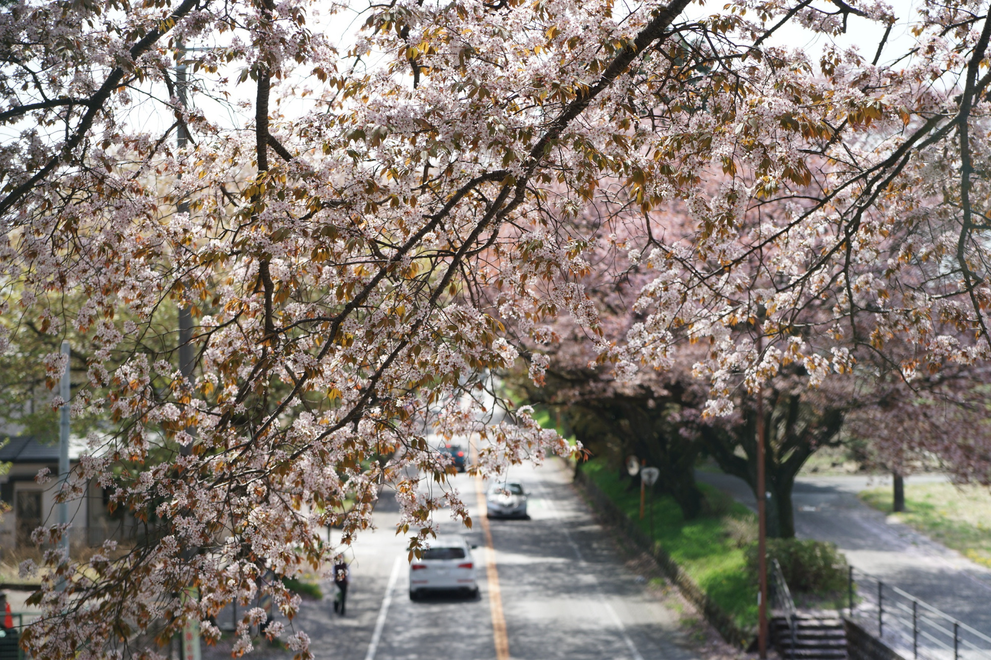 2022年4月13日（水）