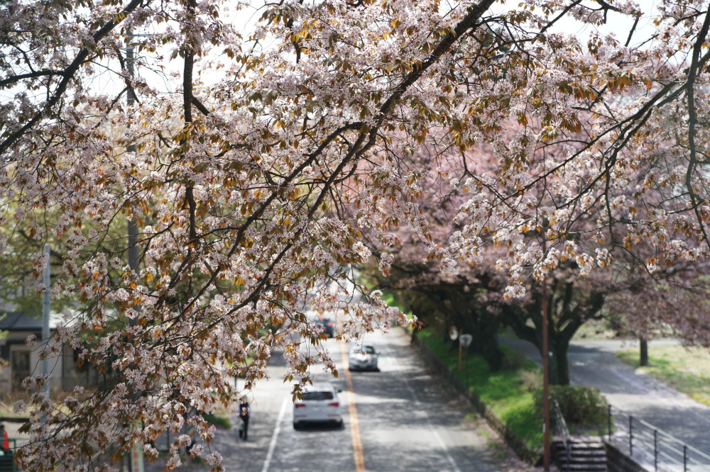 2022年4月13日(水)