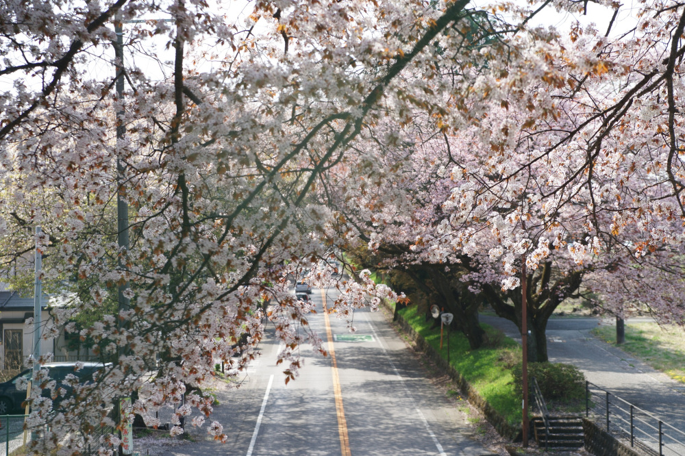 2022年4月12日(火)