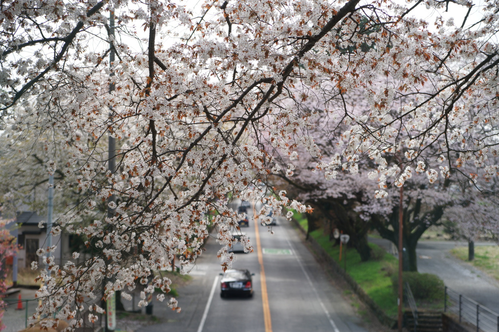 2022年4月11日(月)