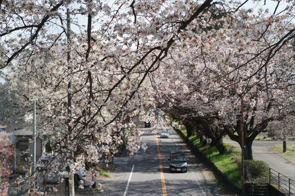 2022年4月10日(日)