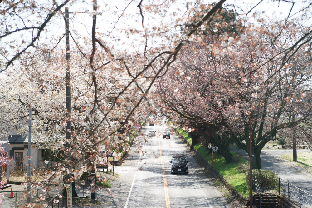 2022年4月9日(土)