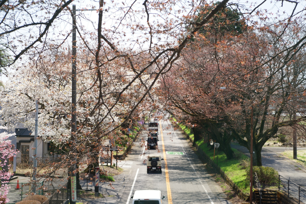 2022年4月8日(金)