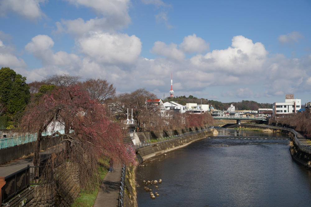 2023年3月19日(日)