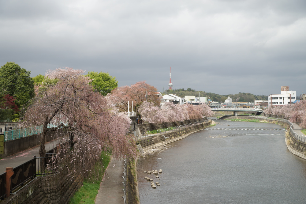 2023年4月7日(金)
