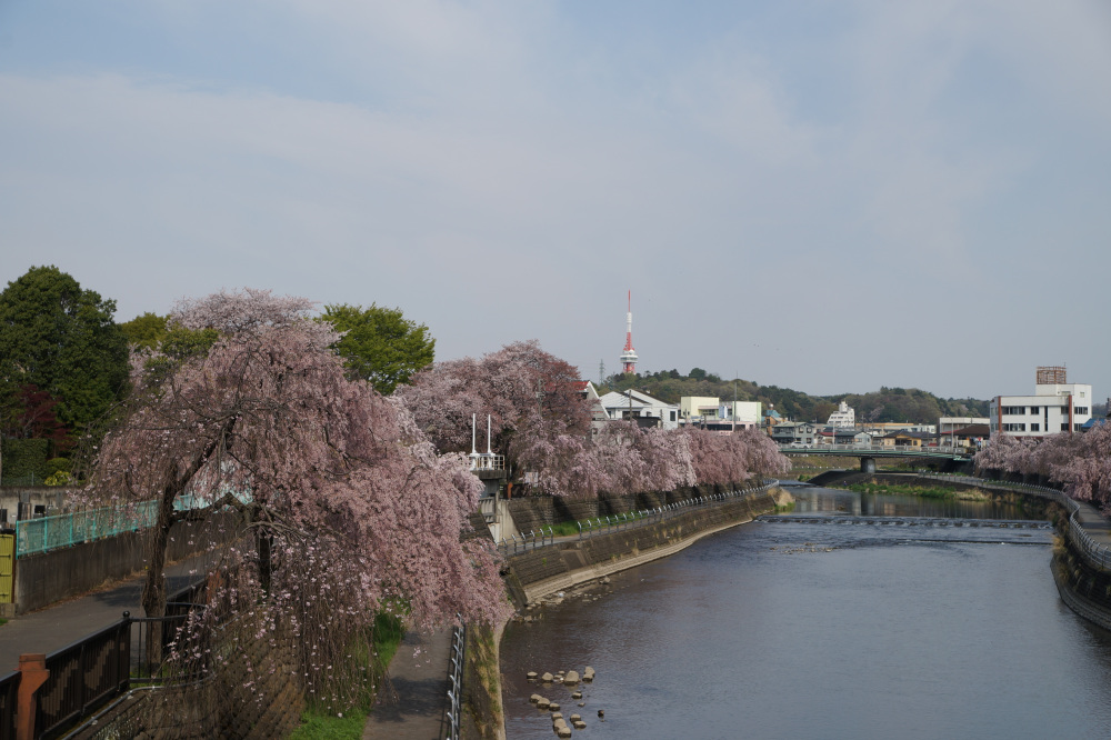 2023年4月5日(水)