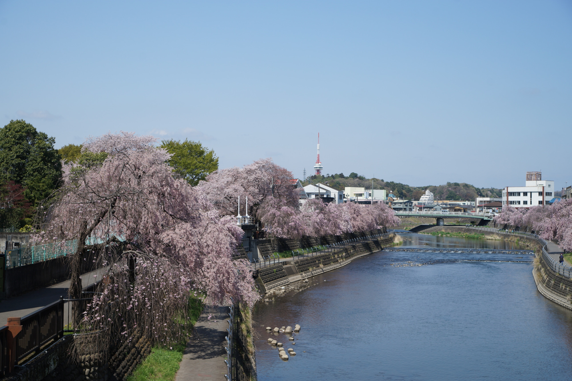 2023年4月3日（月）