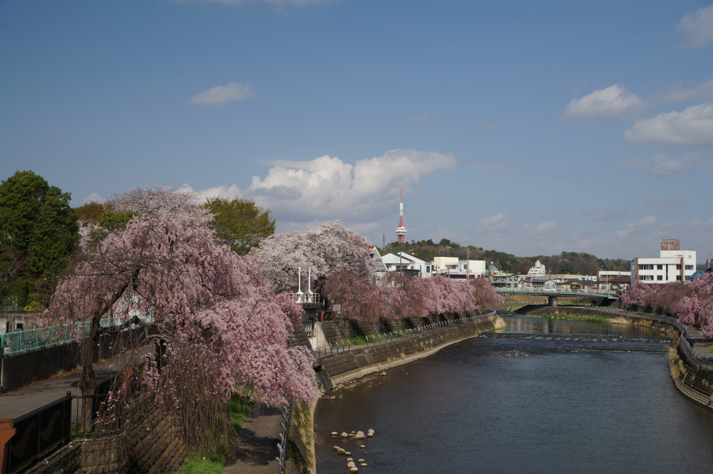 2023年3月30日(木)