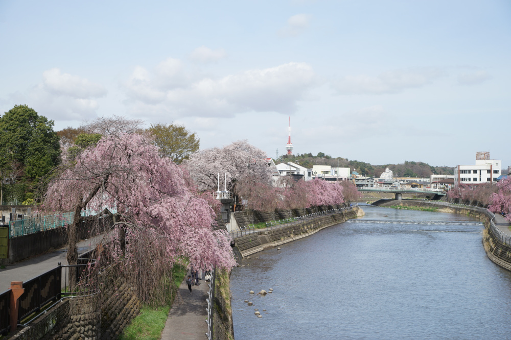 2023年3月27日(月)