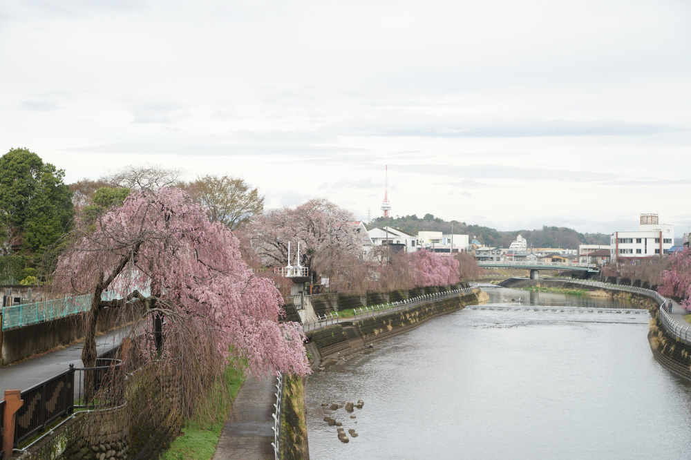 2023年3月24日(金)