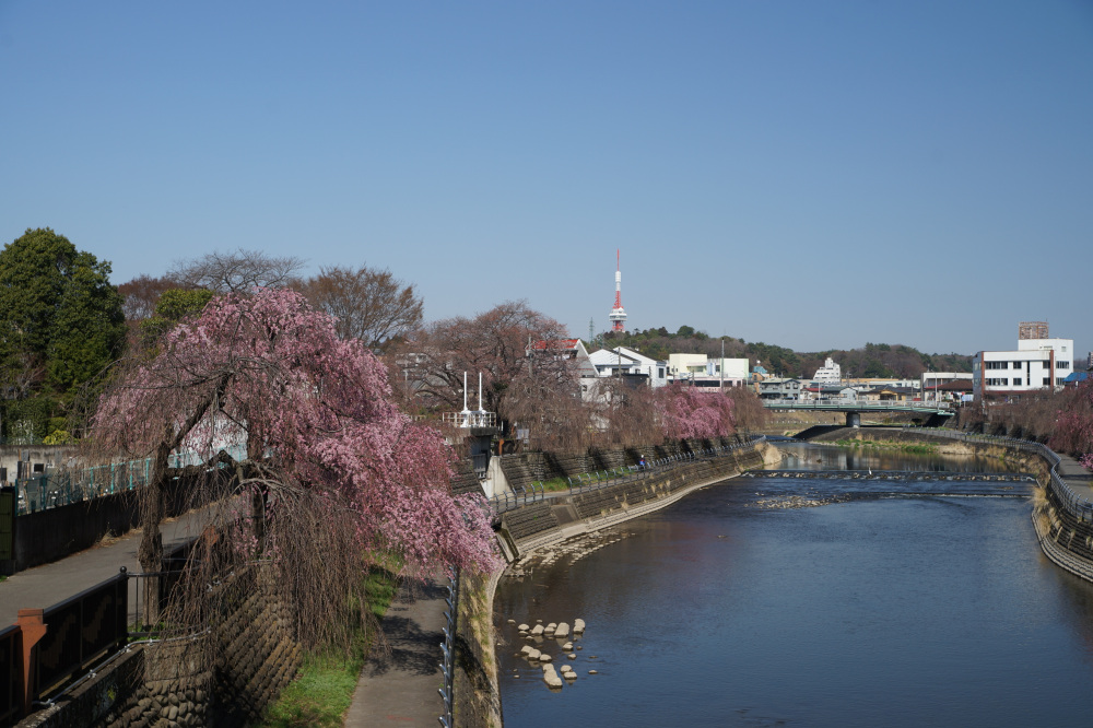2023年3月22日(水)