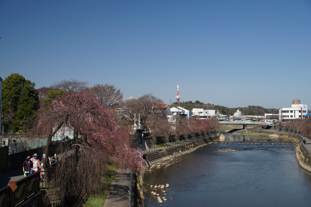 2023年3月20日(月)