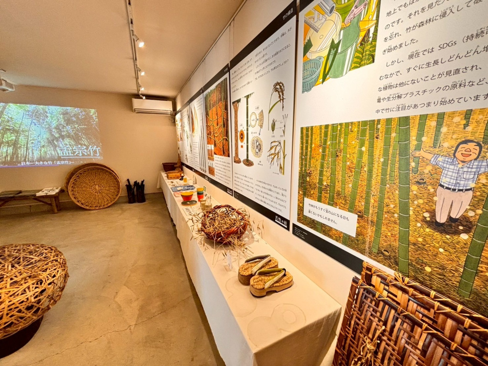ミュージアムでは竹の様々な利活用を学べます