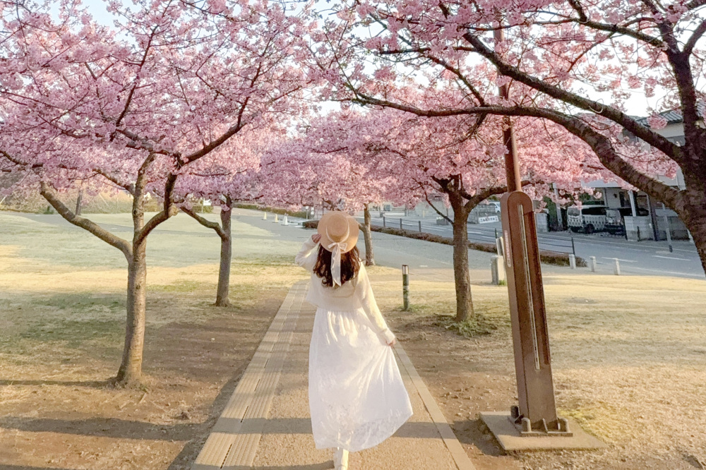 宇都宮城址公園にて