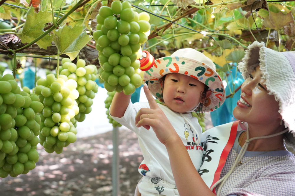山口果樹園にて