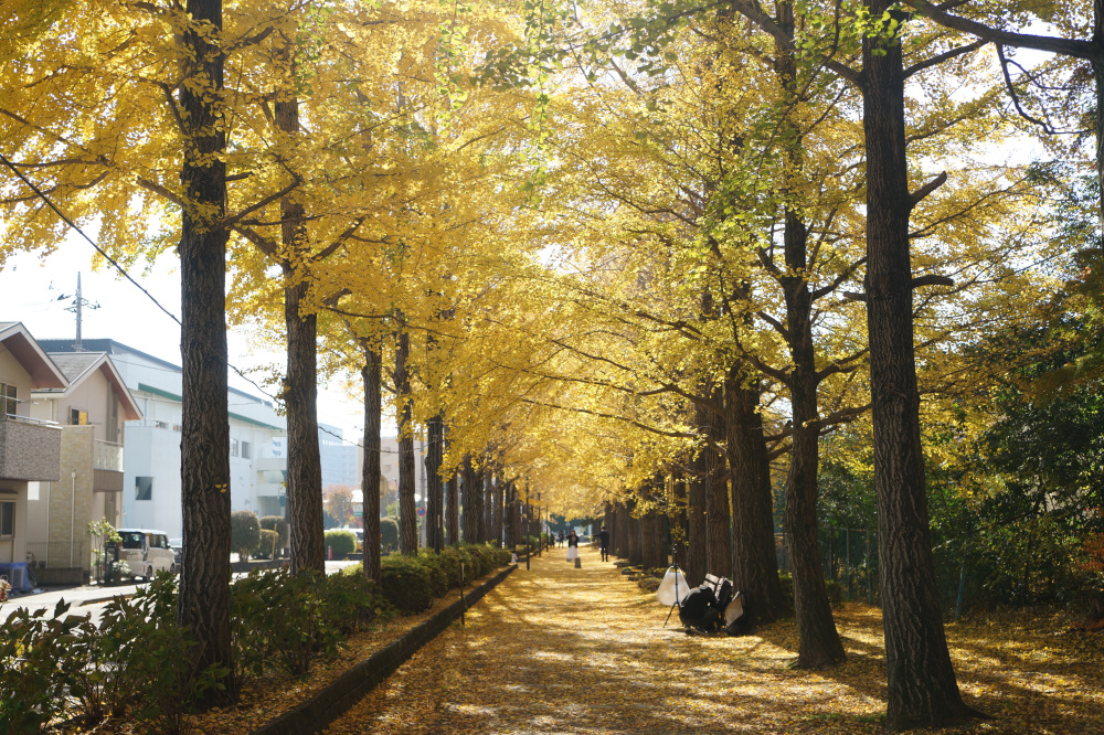 2025年11月28日(金)更新