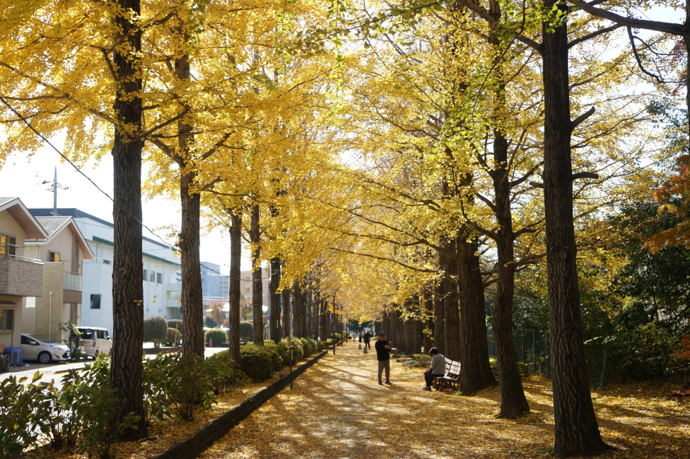 2025年11月30日(日)更新