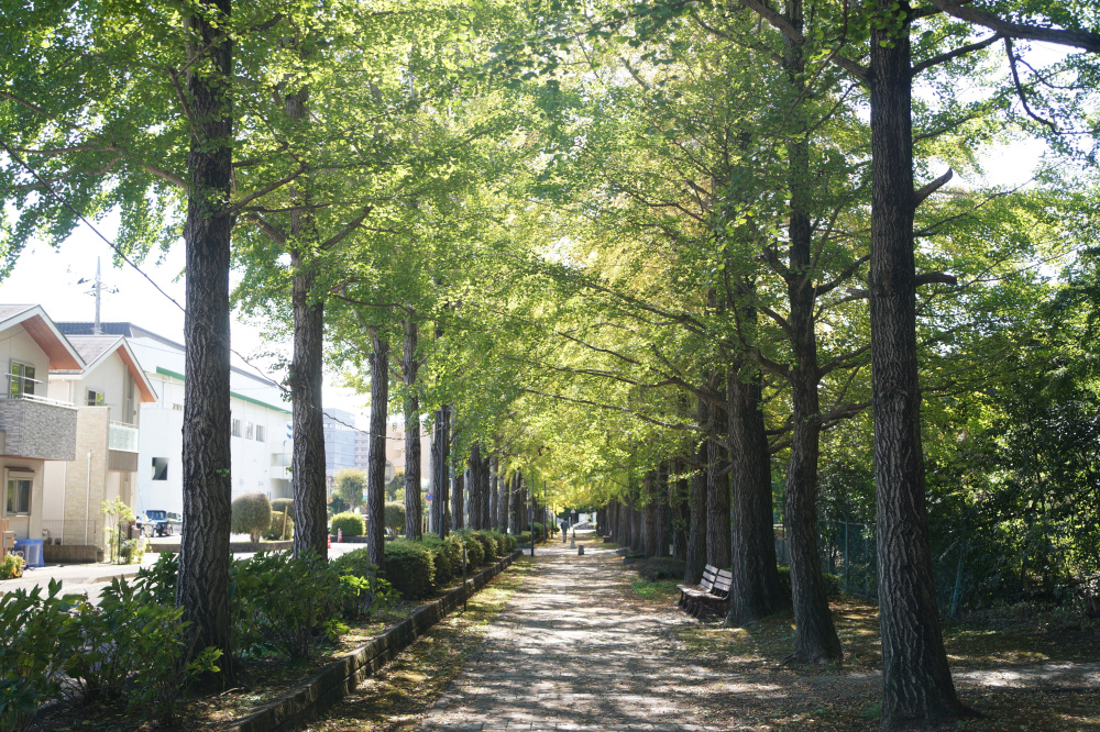 2025年11月4日(火)更新