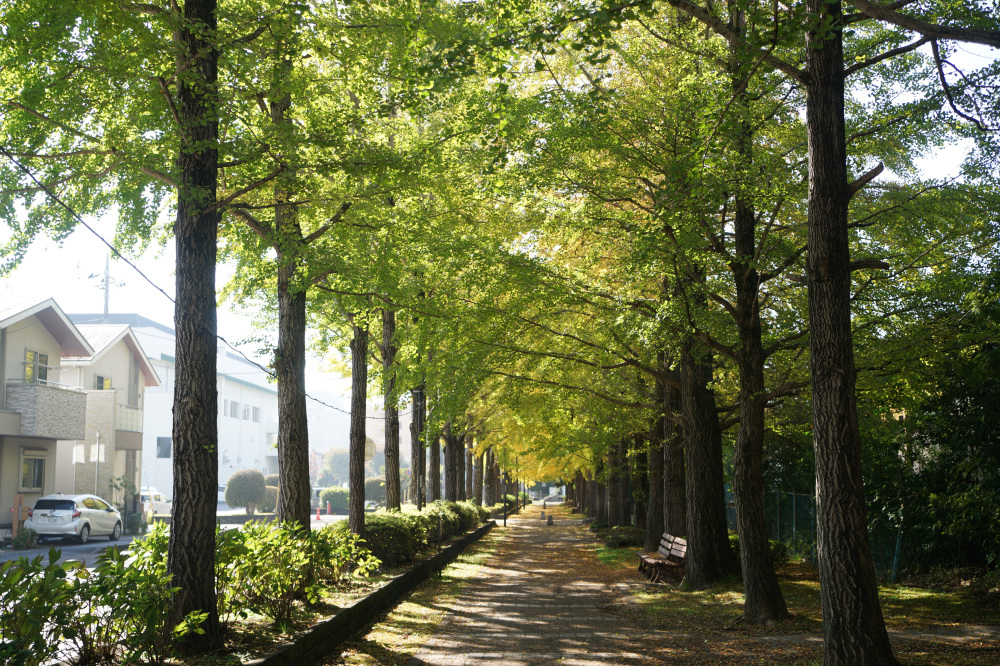 2025年11月10日(月)更新