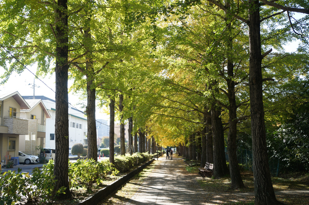 2025年11月14日(金)更新