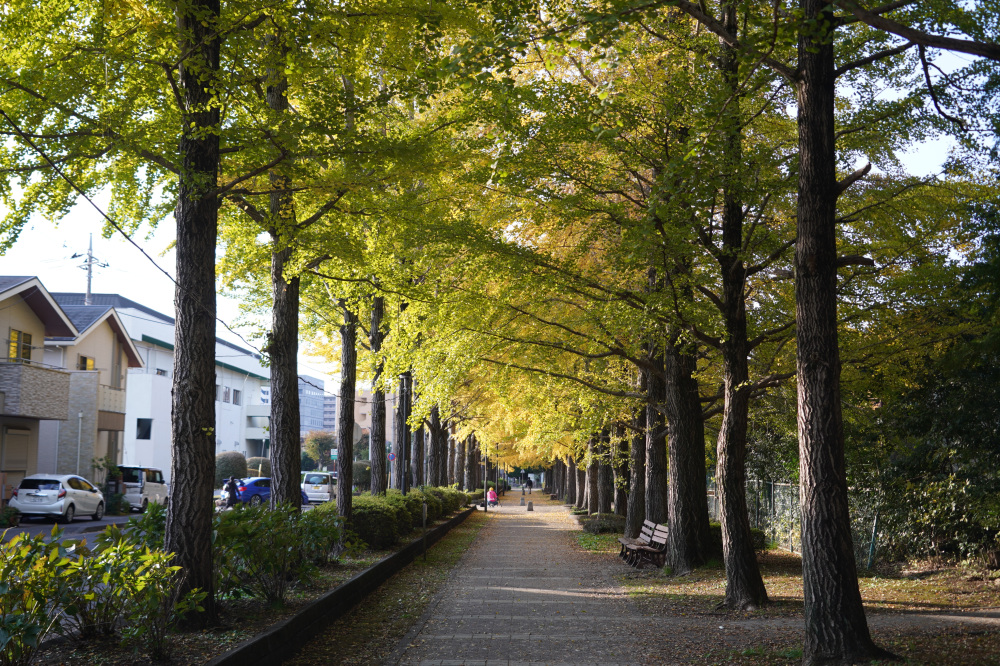 2025年11月16日(日)更新