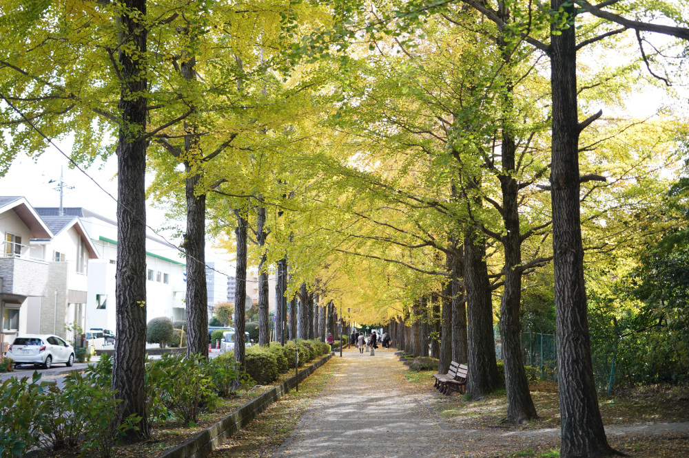 2025年11月18日(火)更新