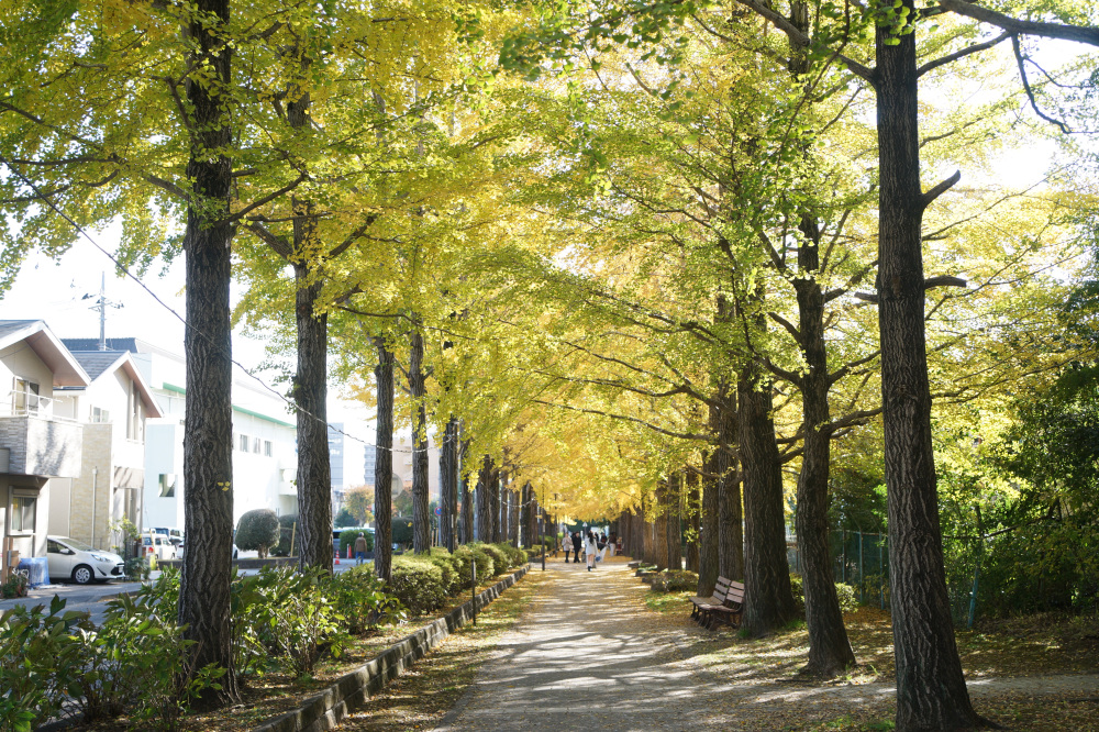 2025年11月20日(木)更新