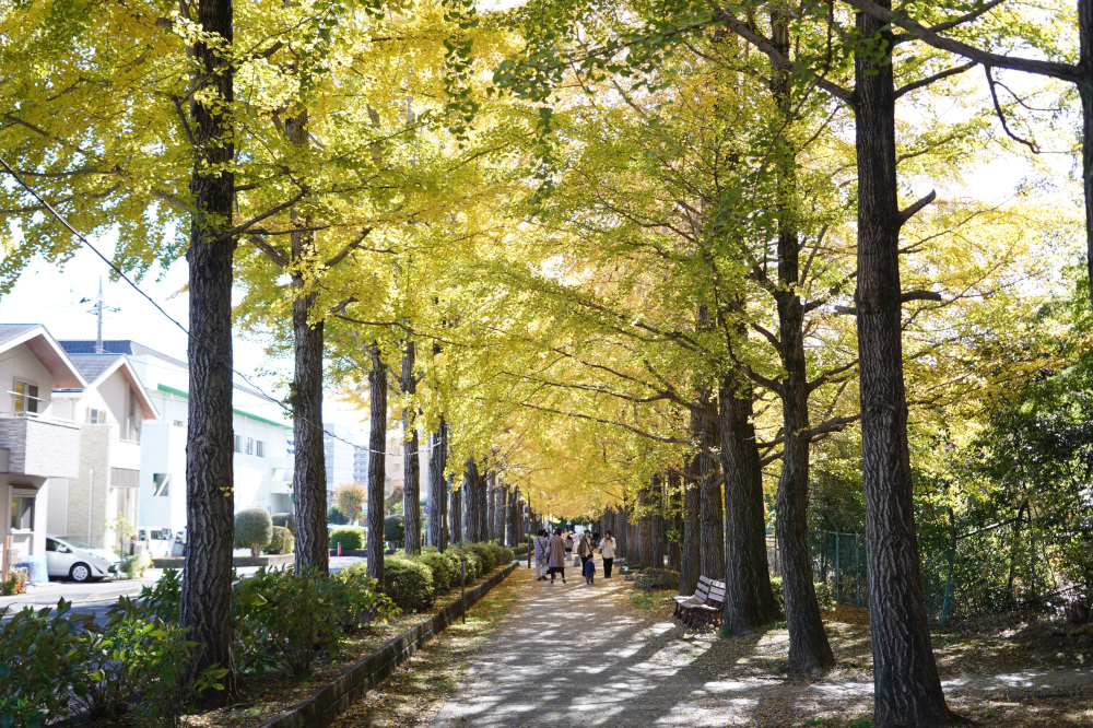 2025年11月22日(土)更新