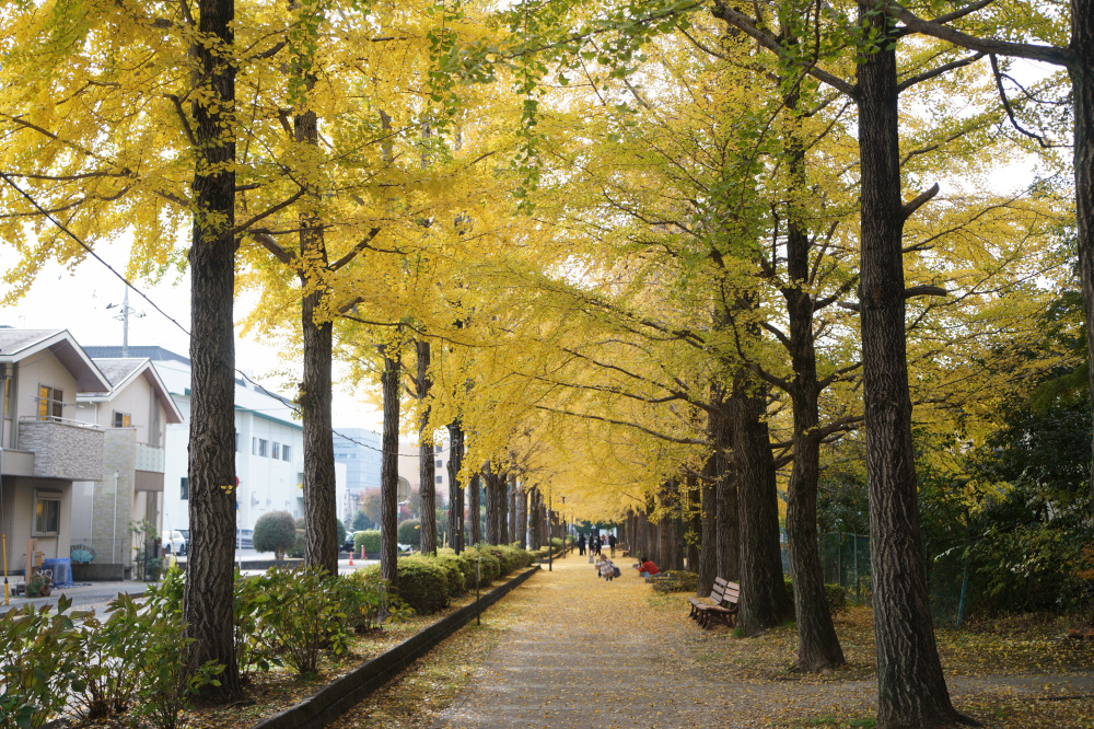 2025年11月26日(水)更新