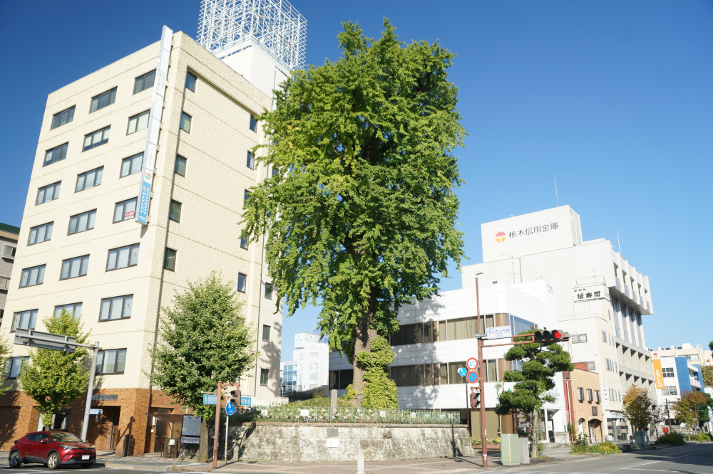 2025年10月30日(木)更新