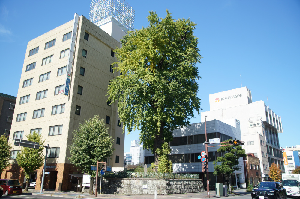 2025年11月4日(火)更新