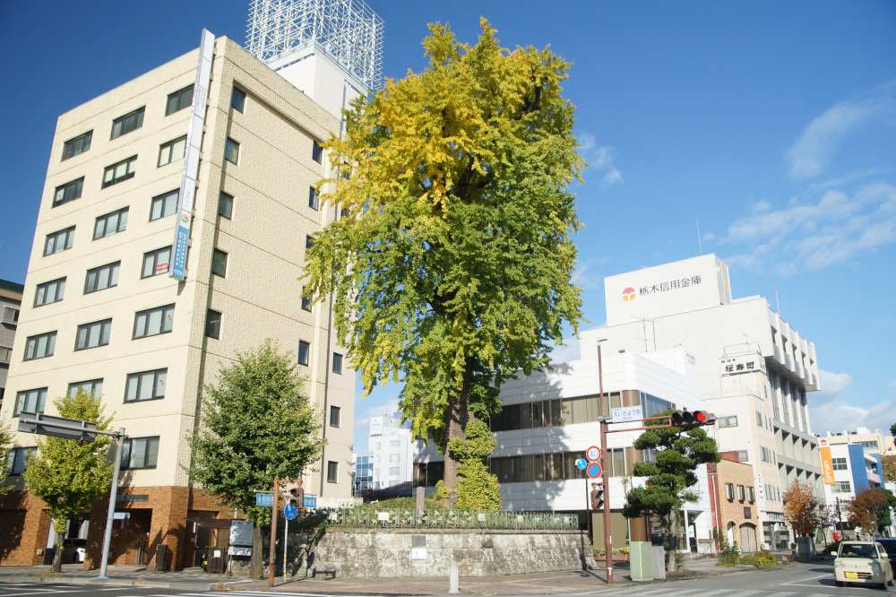 2025年11月10日(月)更新