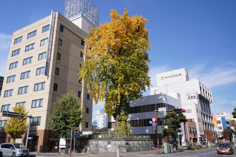 2025年11月16日(日)更新