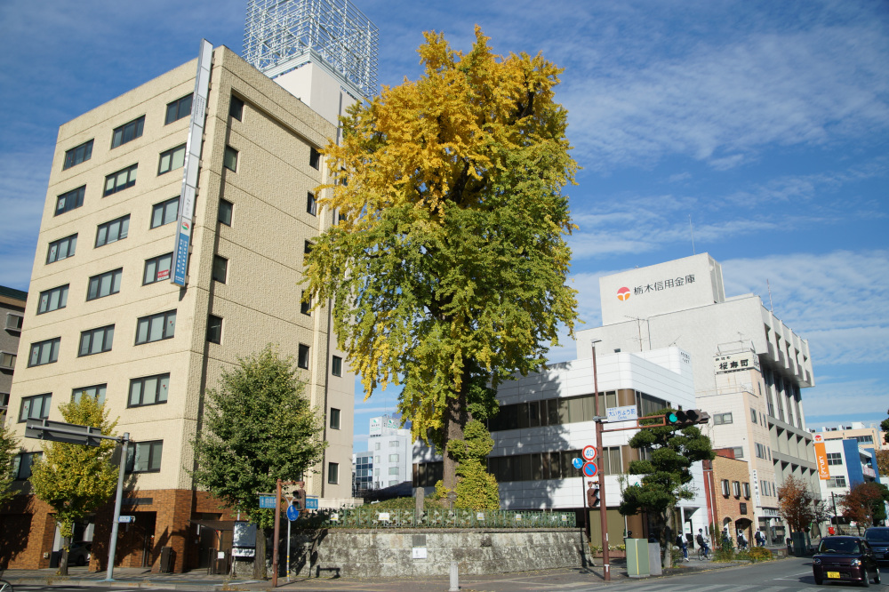 2025年11月14日(金)更新