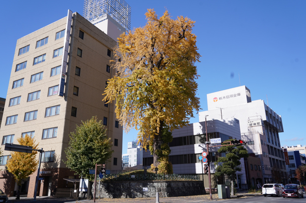 2025年11月22日(土)更新