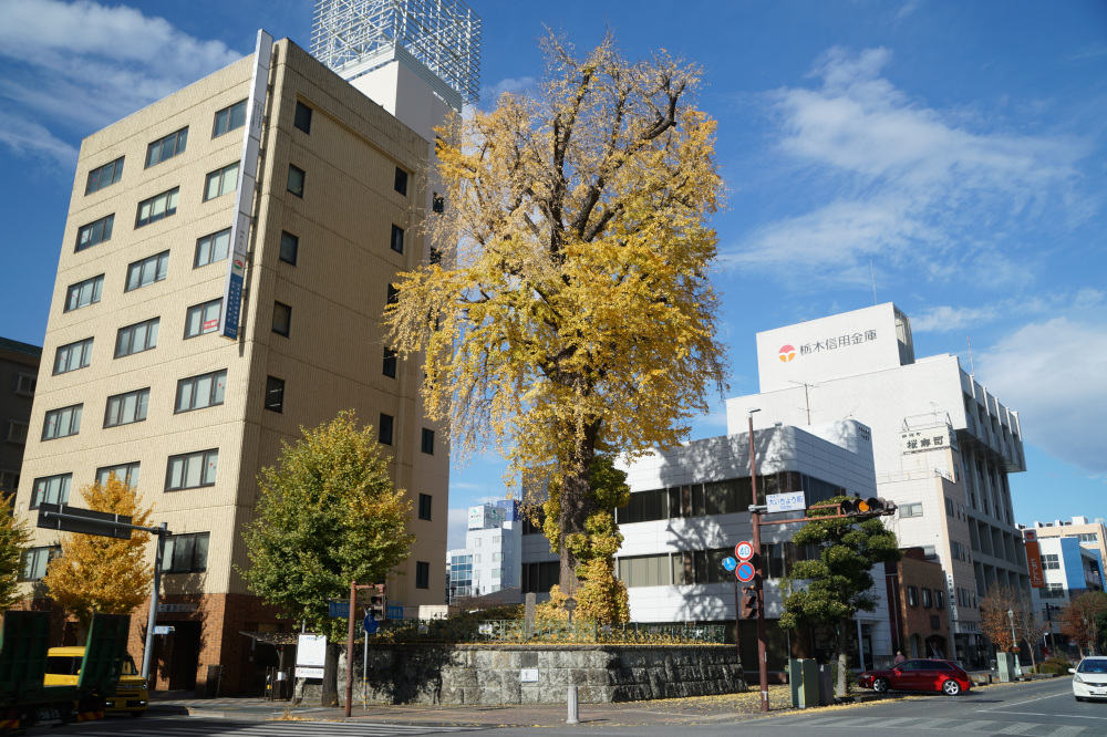 2025年11月26日(水)更新