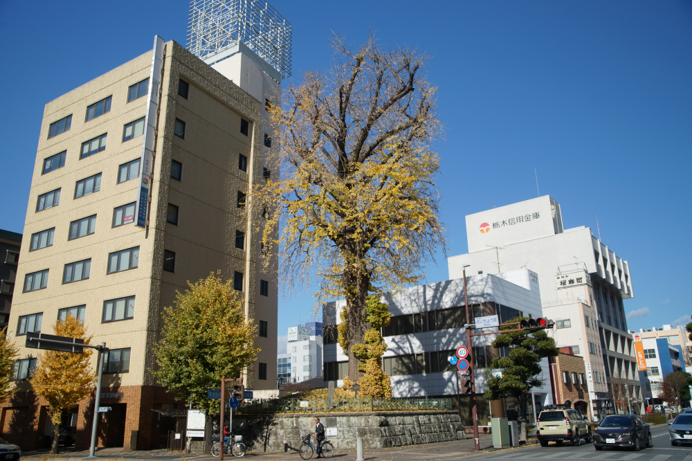 2025年11月28日(金)更新