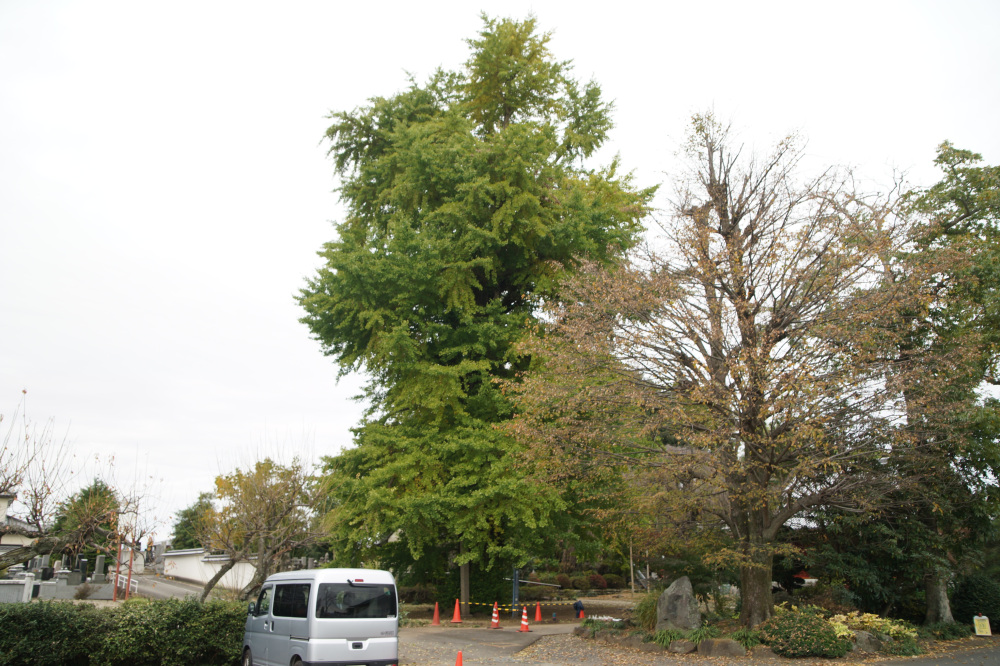 2025年11月6日(木)更新