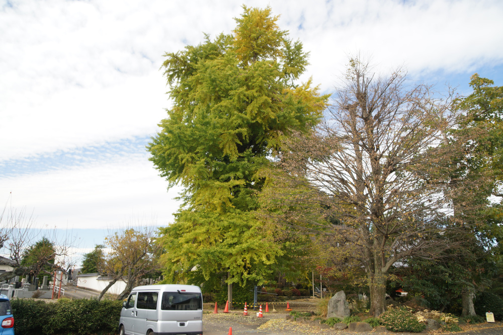 2025年11月11日(火)更新